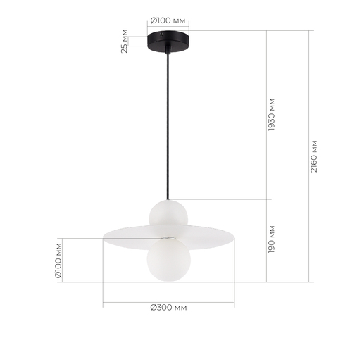 Светильник подвесной Evoluce Rizz SLE1257-453-01