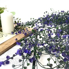 №2 Гипсофила свисающая фиолетовая, ампельное растение, 74 см.