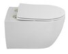 Cezares CZR-191-TH/BS/CZR-2316-SC Унитаз подвесной безободковый с функцией биде Cezares COMFORT CZR-191-TH/BS/CZR-2316-SC