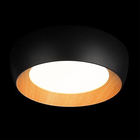 Потолочный светодиодный светильник Loft It Folk 10255/500 Black