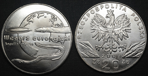 Жетон 20 злотых 2003 года Польша Всемирная природа - Угорь копия монеты посеребрение Копия