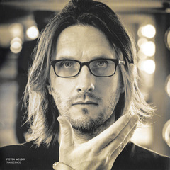 Steven Wilson / Transience (2LP)