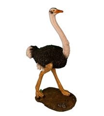 Страус (полистоун)