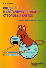 Введение в клеточную биологию стволовых клеток