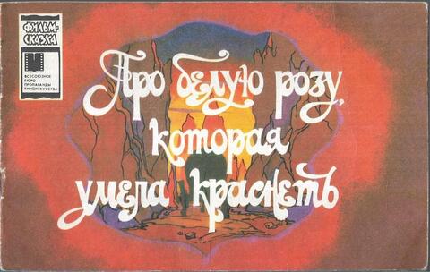 Про белую розу, которая умела краснеть