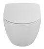 Cezares CZR-191-TH/BS/CZR-2316-SC Унитаз подвесной безободковый с функцией биде Cezares COMFORT CZR-191-TH/BS/CZR-2316-SC