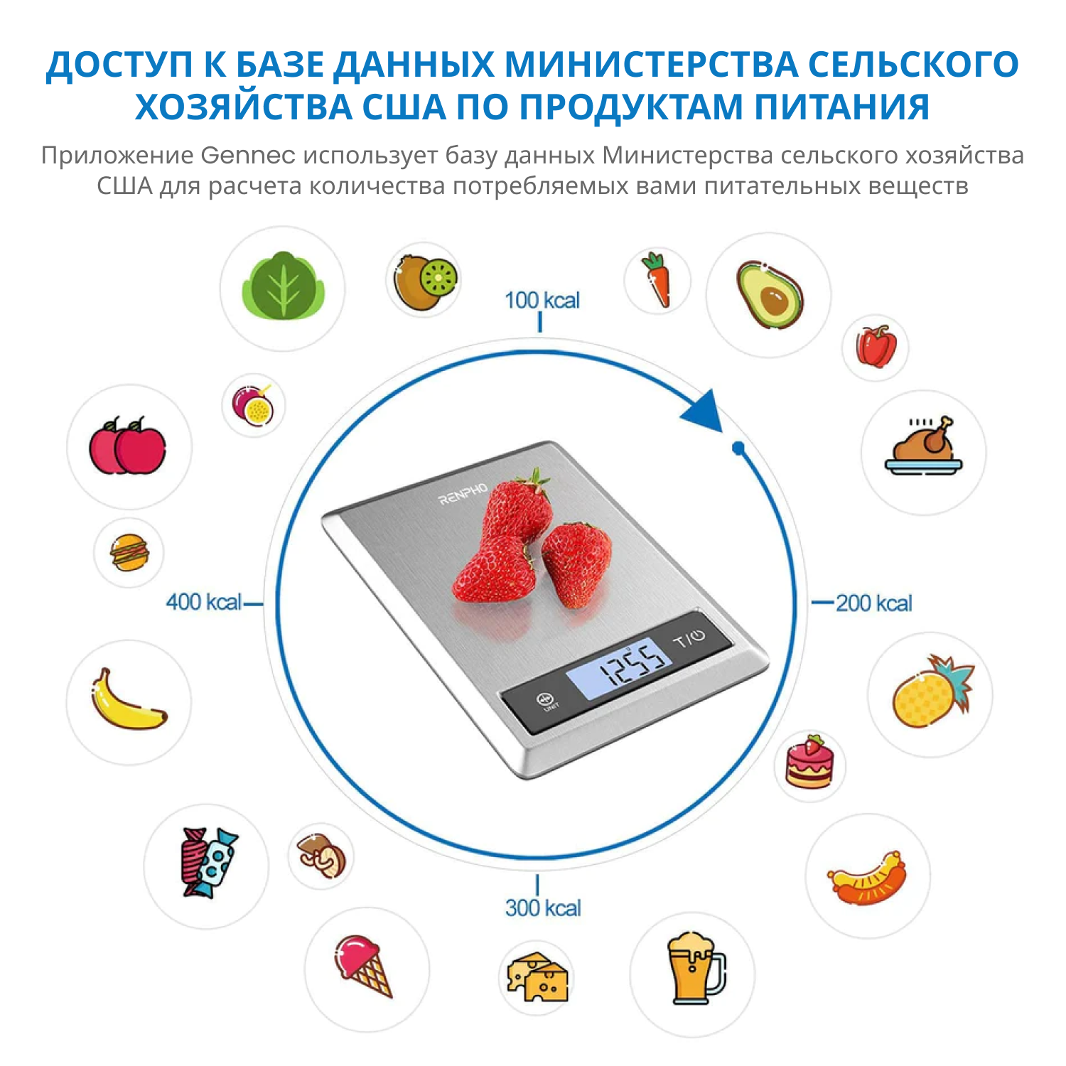 RENPHO Smart Food Scale 2