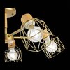 Люстра потолочная Evoluce Stelitto SLE110402-05