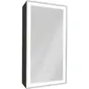Зеркало-шкаф с подсветкой ART&MAX TECHNO AM-Tec-350-650-1D-R-DS-F-Nero