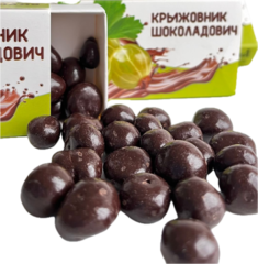 Драже Крыжовник в шоколаде 50 г
