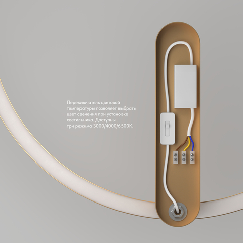 Настенный светодиодный светильник Denkirs Round DK5035-SG