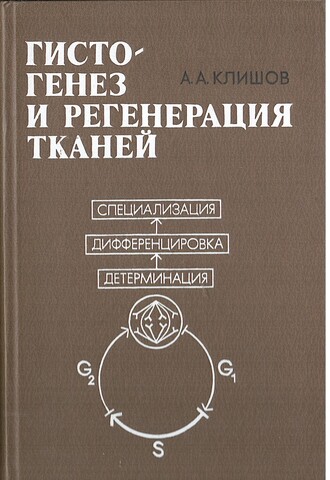 Гистогенез и регенерация тканей