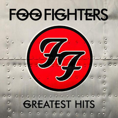 Foo Fighters / Greatest Hits (2LP)