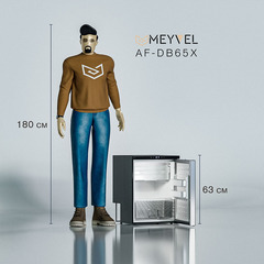 Компрессорный автохолодильник Meyvel AF-DB65X (Двухкамерный, 12V/24V, 110V/220V опционально, 65л)
