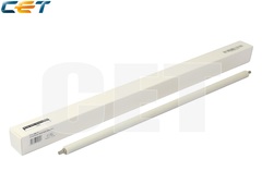 CET7964_784181111.jpg