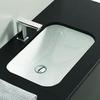 ArtCeram WASHBASINS NETTUNO  Раковина встраиваемая снизу 56Х38 см, без отв под смеситель,  без крепежа ACA001, цвет белый. NTL001 01 00