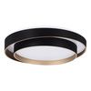 Светильник потолочный Evoluce Crosby SLE6009-402-01