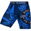 Компрессионные шорты Hardcore Training Heraldry Blue