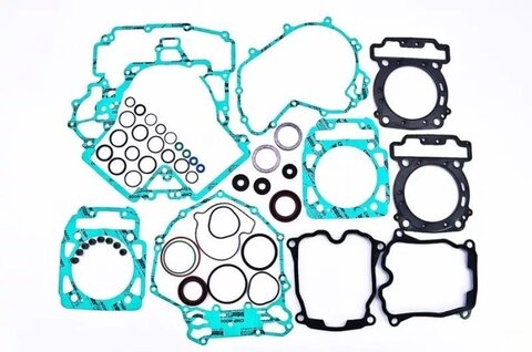 WINDEROSA/VERTEX  811579 Complete Gasket Kit With Seals ( омплект прокладок)