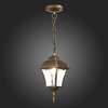 Светильник уличный подвесной ST Luce Domenico SL082.203.01