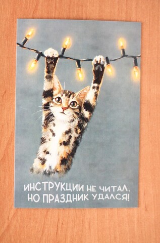 Гирлянда, кот и немного паники