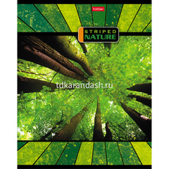 Тетрадь А5 96л линия 