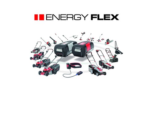 Зарядное устройство для аккумулятора 36 В Energy Flex