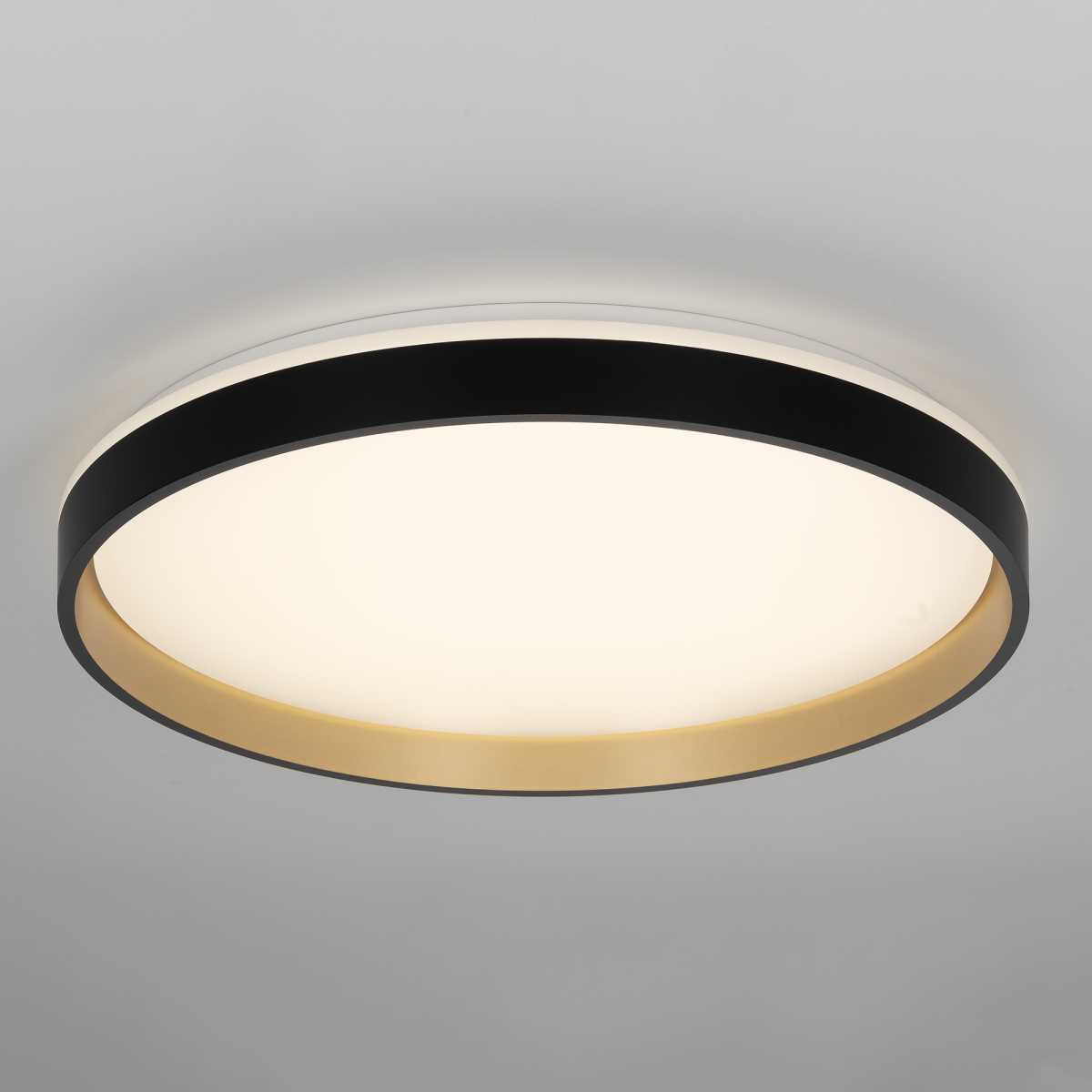 Светильник потолочный Citilux ENZO CL753511G