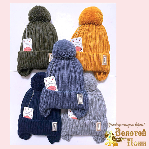 Шапка на синтепоне м (3-5) 251019-Ш4114