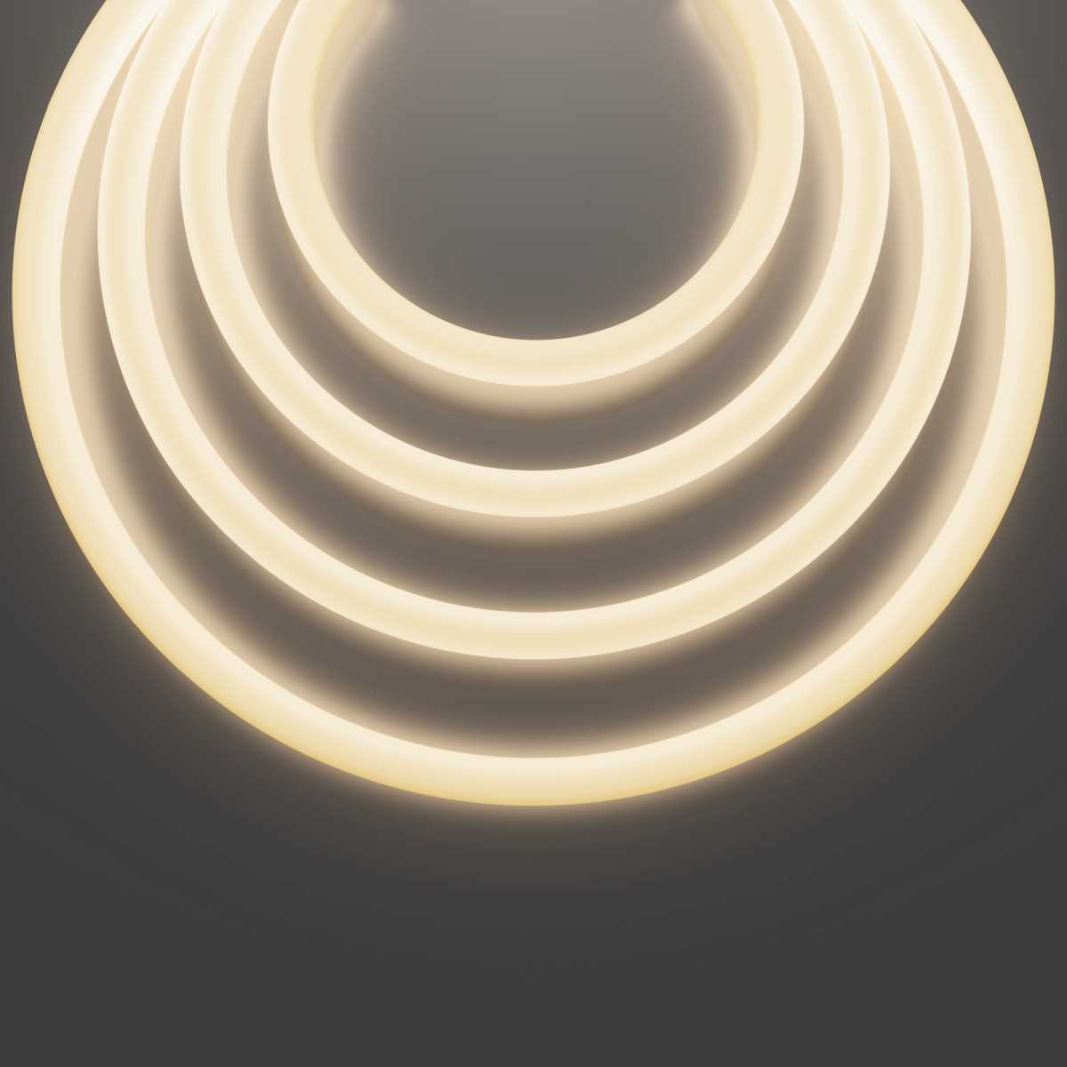 Гибкий неон Maytoni Led Strip 433001