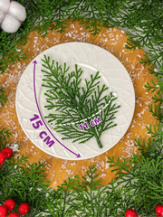 Набор травяных лапок туи, искусственные, 15*11 см, набор 30 шт.