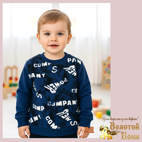 Свитшот трикотаж м (74-98) 251205-Y5103