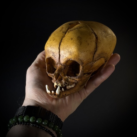 Маленький монстр