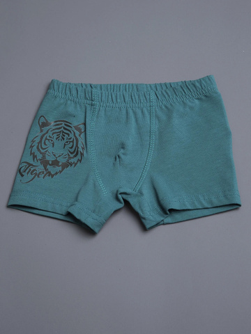 034_НБЛ25 Боксеры (трусы) д/м, т.хаки