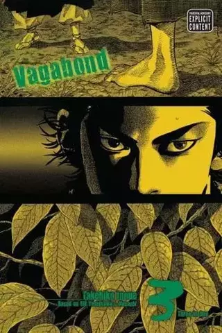 Vagabond, Vol. 3