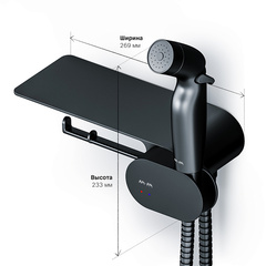 Смеситель с гигиеническим душем и полкой, черный, AM.PM LIKE - F0202622