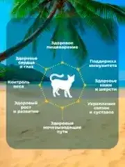 Родные Корма заморские паучи для кошек филе тунца с курицей и лососем в желе по-тайски 70 г