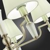 Люстра подвесная Evoluce Reimo SLE105503-05