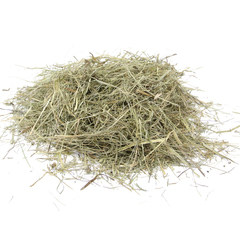 FIORY сено Evergreen 1кг