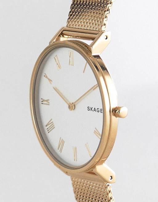 Skagen skw2677 new arrivals