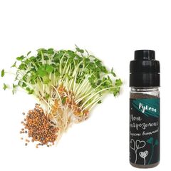 Семена для выращивания микрозелени Здоровья Клад Рукола 75 г