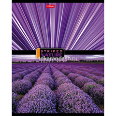 Тетрадь А5 96л линия 