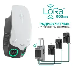 Зарядная станция Pandora Wall-E DUO LoRa 22+22кВт