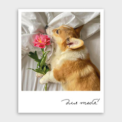 Фото-карточка 