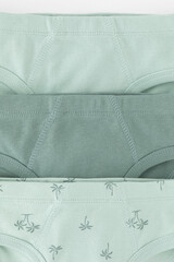 трусы/ уп  для мальчика  К 1928-3уп/полынь,голубая дымка,пальмы