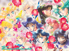 Sailor Moon. Том 8