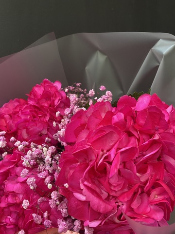 Букет Фукси из гортензии и гипсофилы