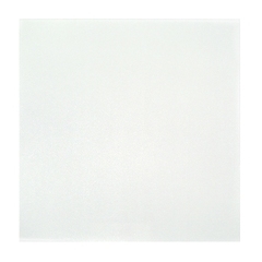 Плита потолочная 0102