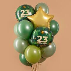 Связка гелиевых шаров с 23 февраля!