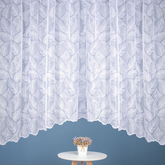 Тюлевая арка жаккард, пр-во Китай, 170*300 см